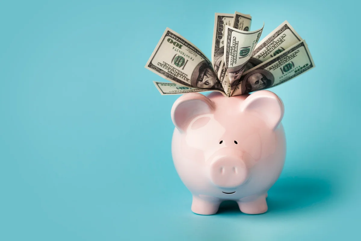piggy bank with money in it