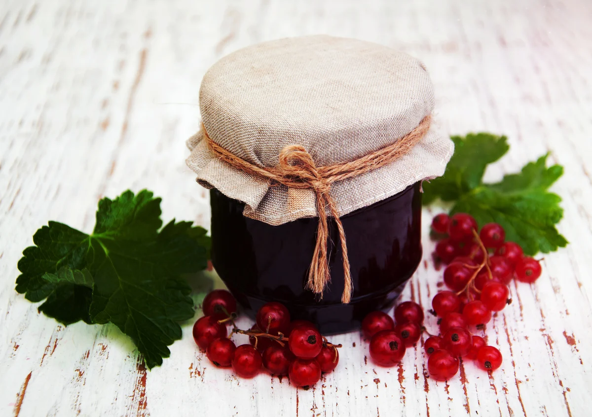 currant jelly
