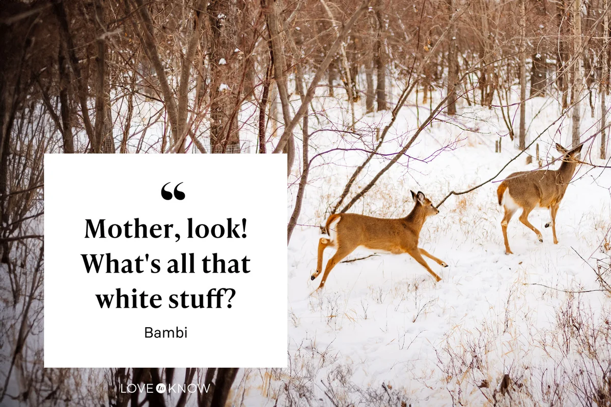 "Mother, look! What's all that white stuff?" - Bambi