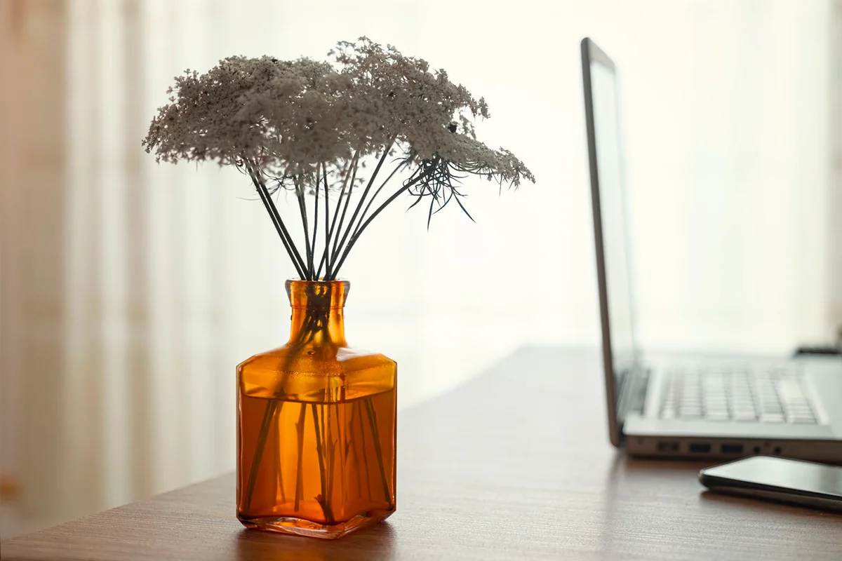 flowers in glass vase