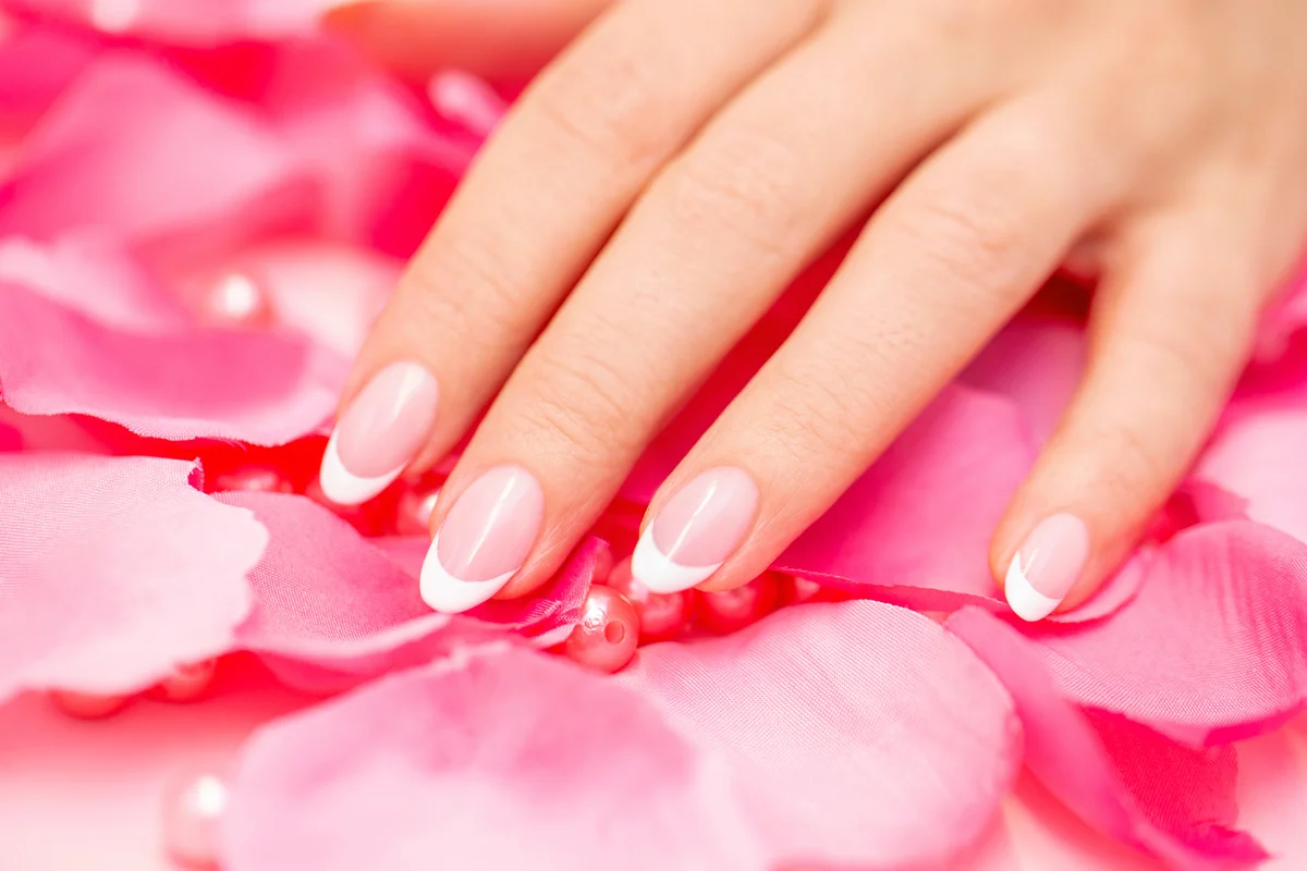 Hands with French nails over Pink Rose Petals
