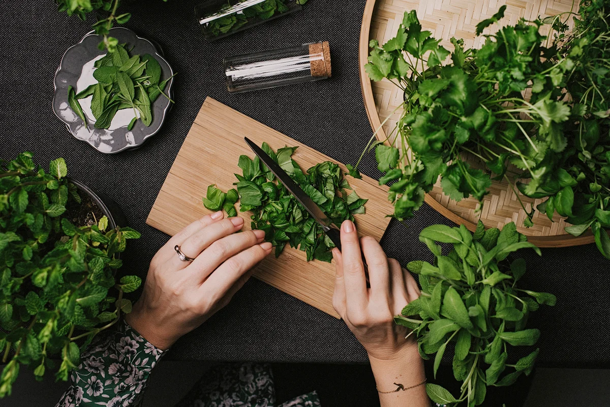 Woman cutting various fresh leaf herbs like sage basil oregano thyme
