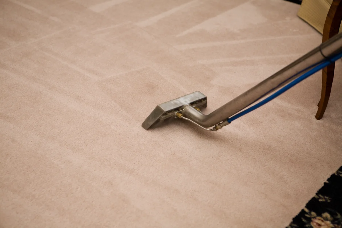 carpet steam clean