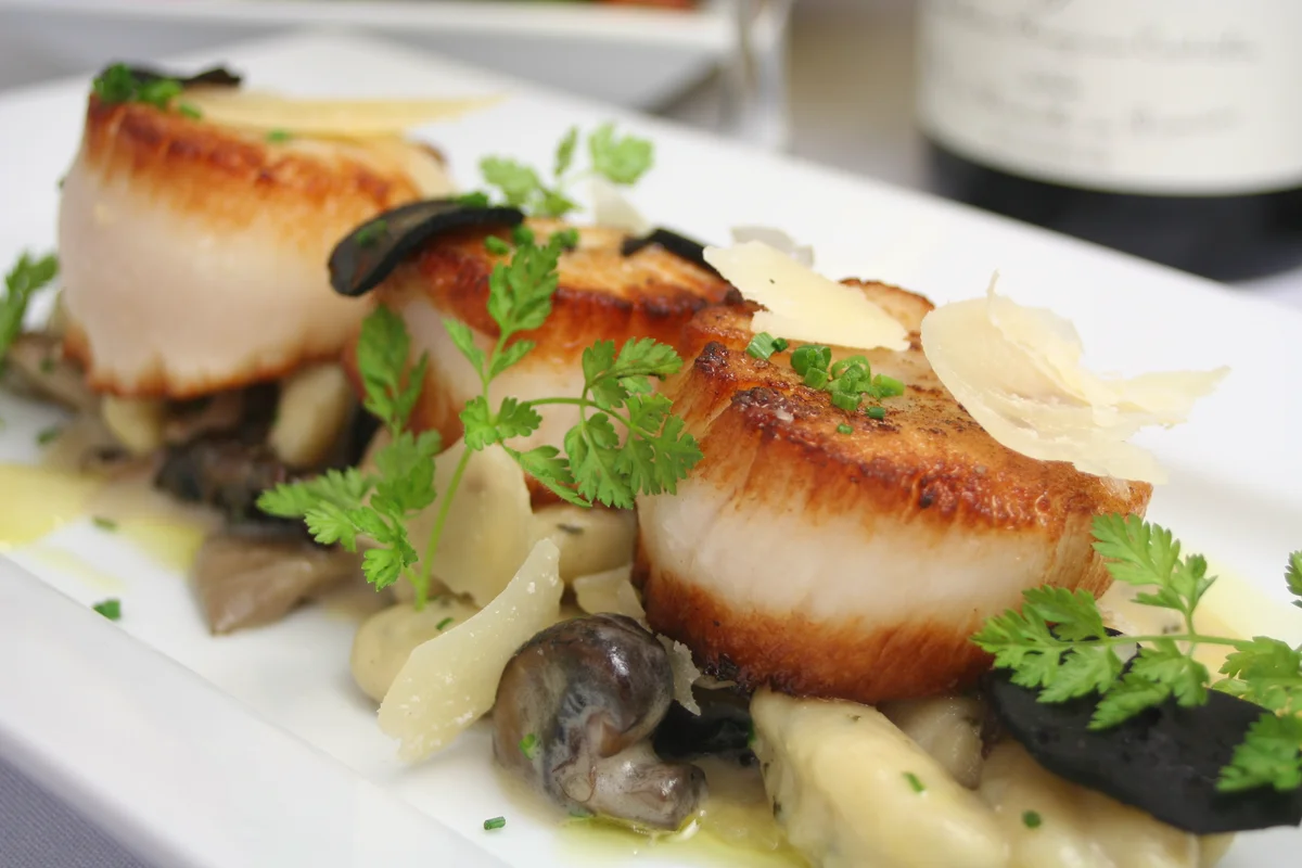 pan-seared scallops