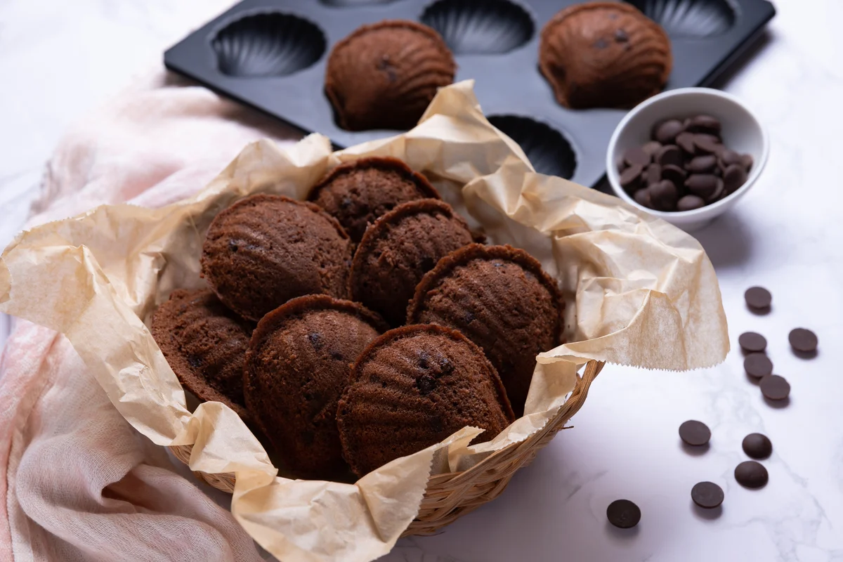 chocolate madeleines