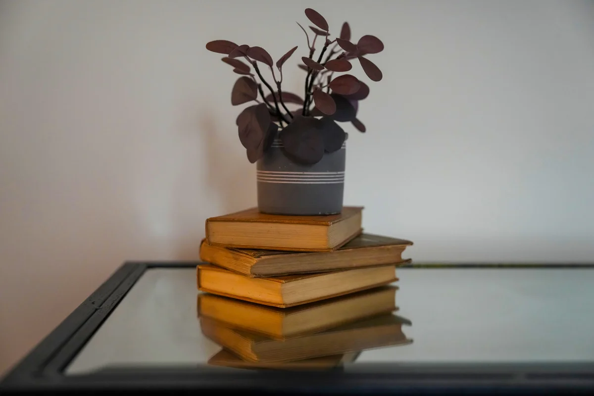 Small potted plant on a stack of antique books