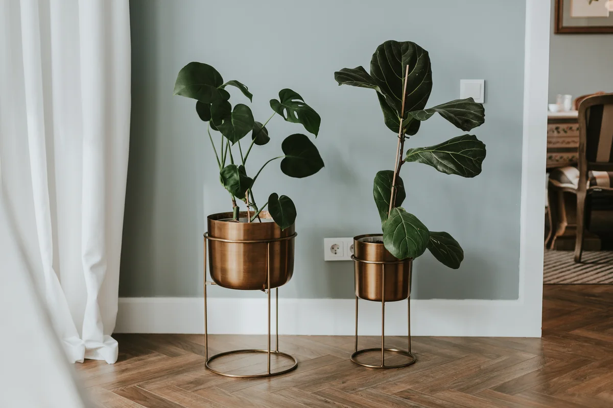 Modern copper planters