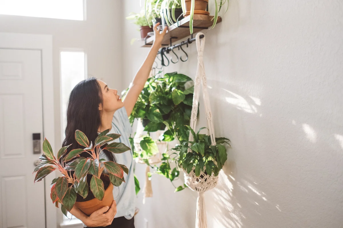 Woman putting plants on shelf and hooks