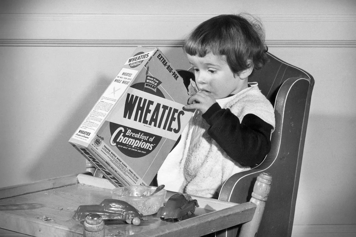 circa 1945: A young girl sits at a table, digging with one hand in a box of Wheaties breakfast cereal