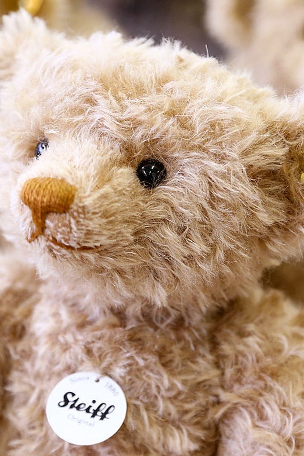 6 Valuable Steiff Bears No Child's Allowance Could Ever Afford