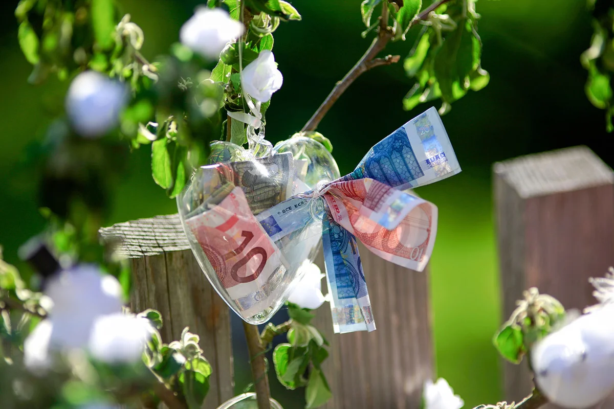 Money Tree Wedding gift