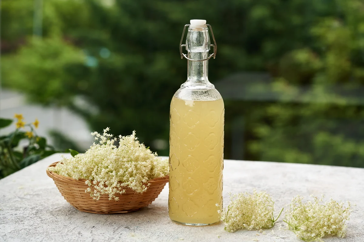 Bottle of simple syrup surrounded by elderflowers.