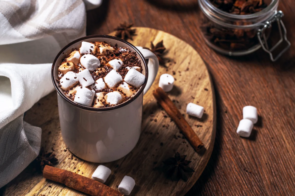 Mug of hot chocolate with marshmallow and cinnamon