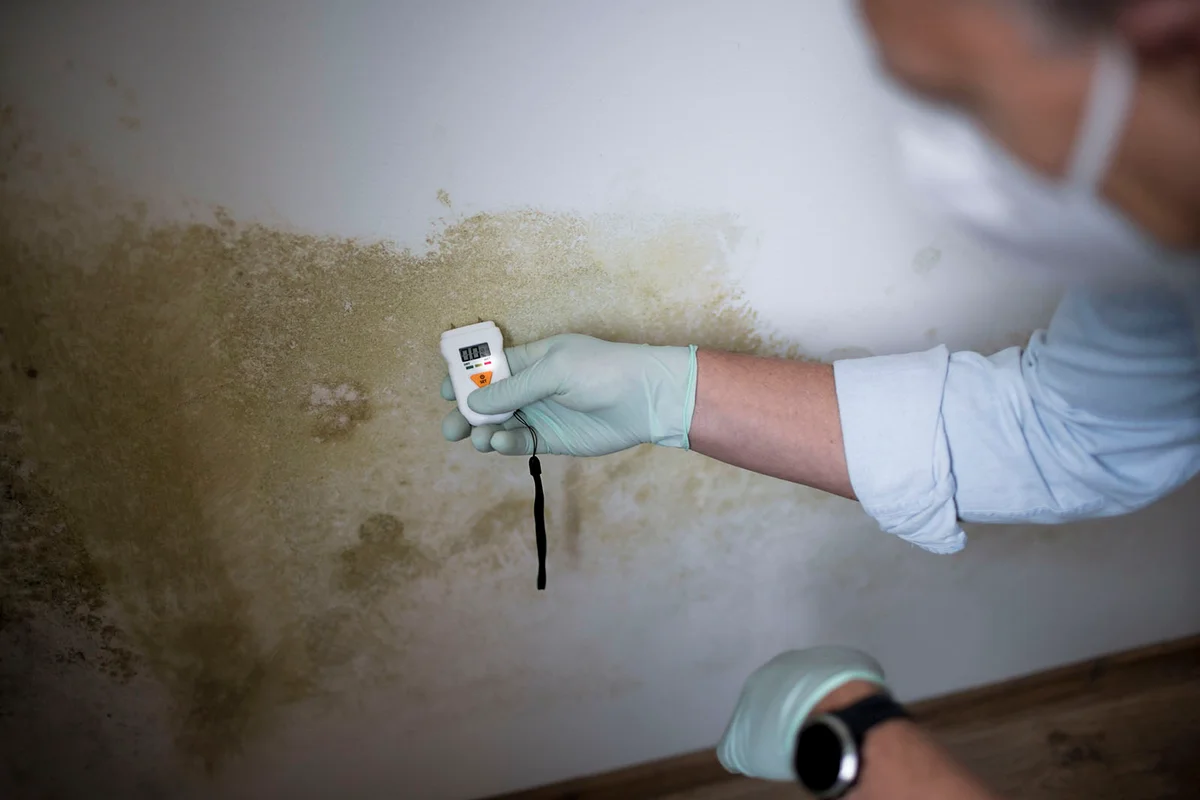 Man with nose mouth protection measures the moisture level on a wall with mold in an apartment
