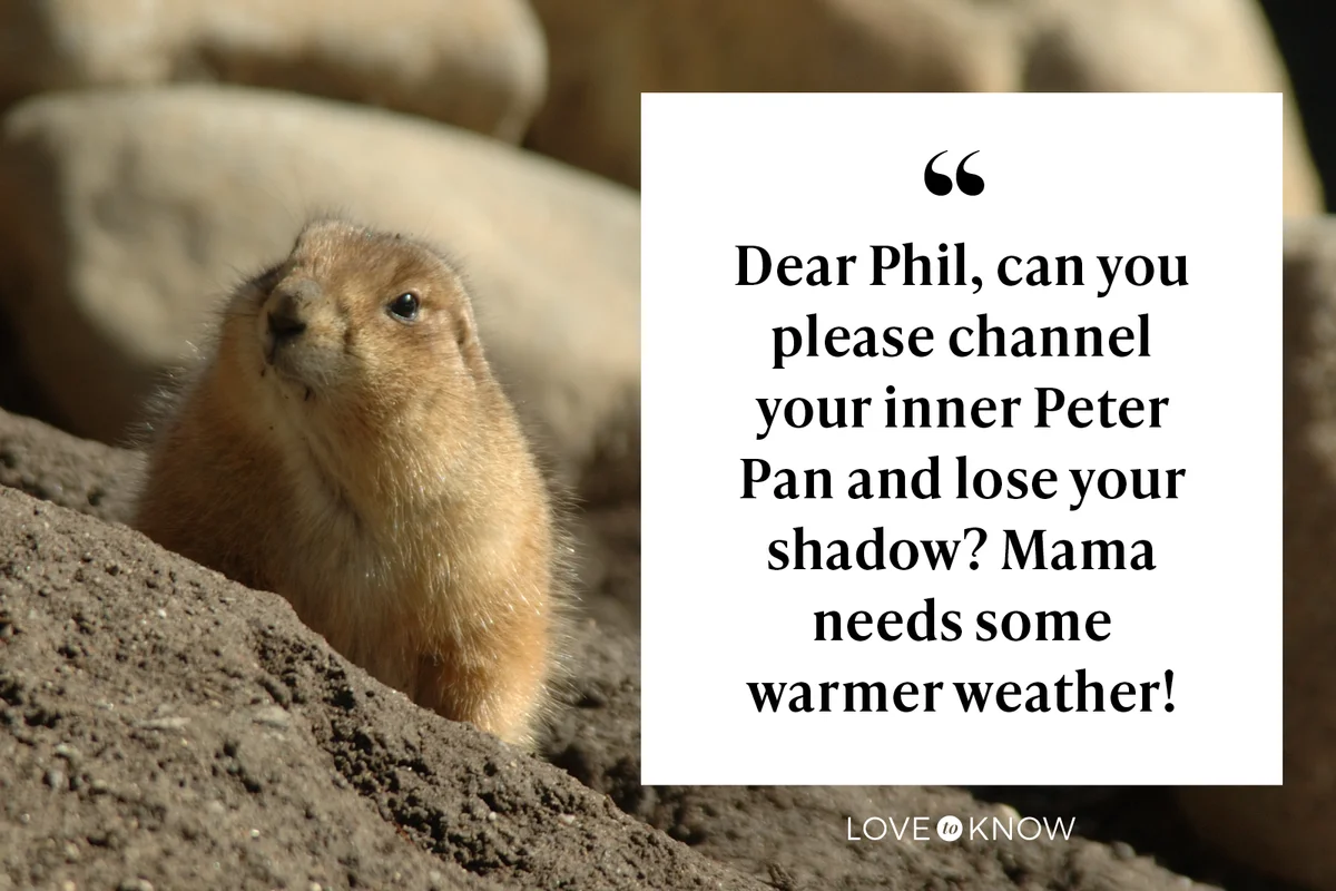Groundhog is looking out from his hole in the end of February