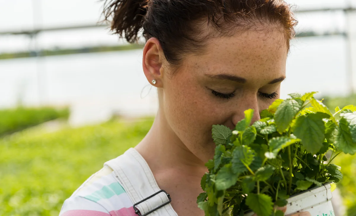 woman sniffing lemon balm