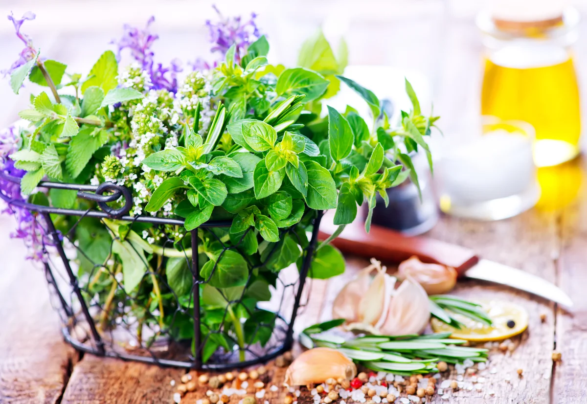 culinary herbs in a basket