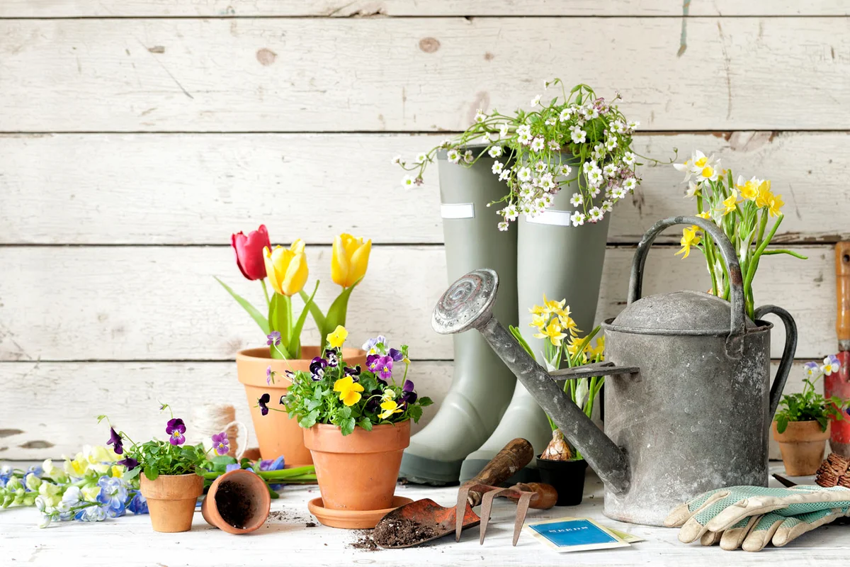 Vintage gardening tools and flowers