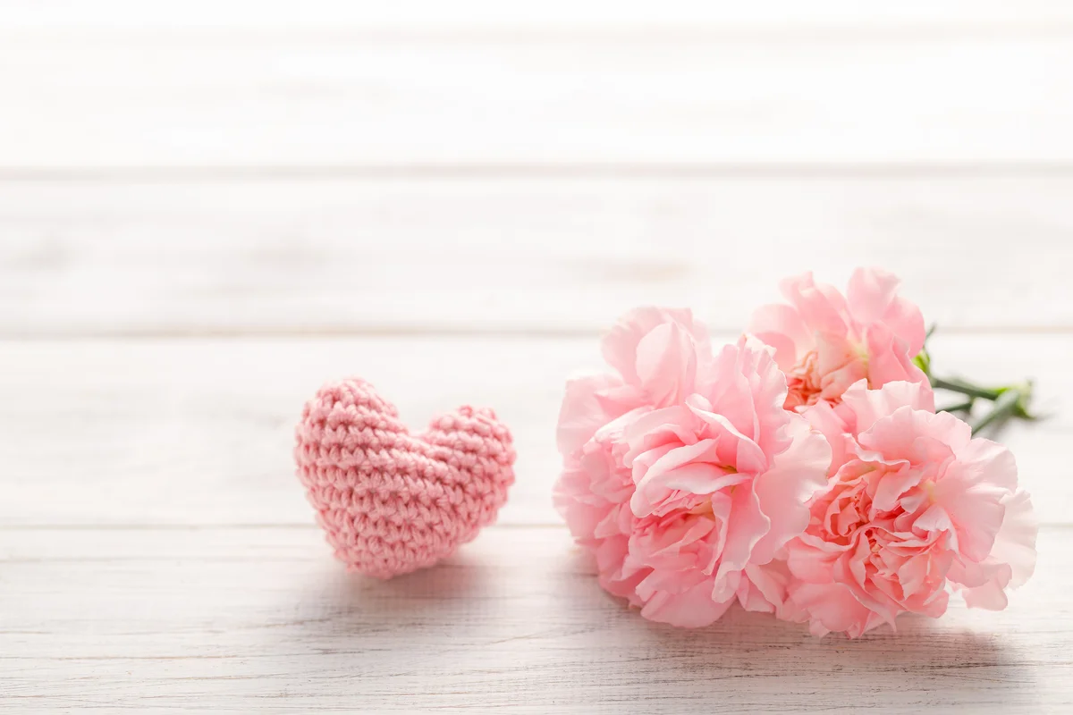 pink carnations