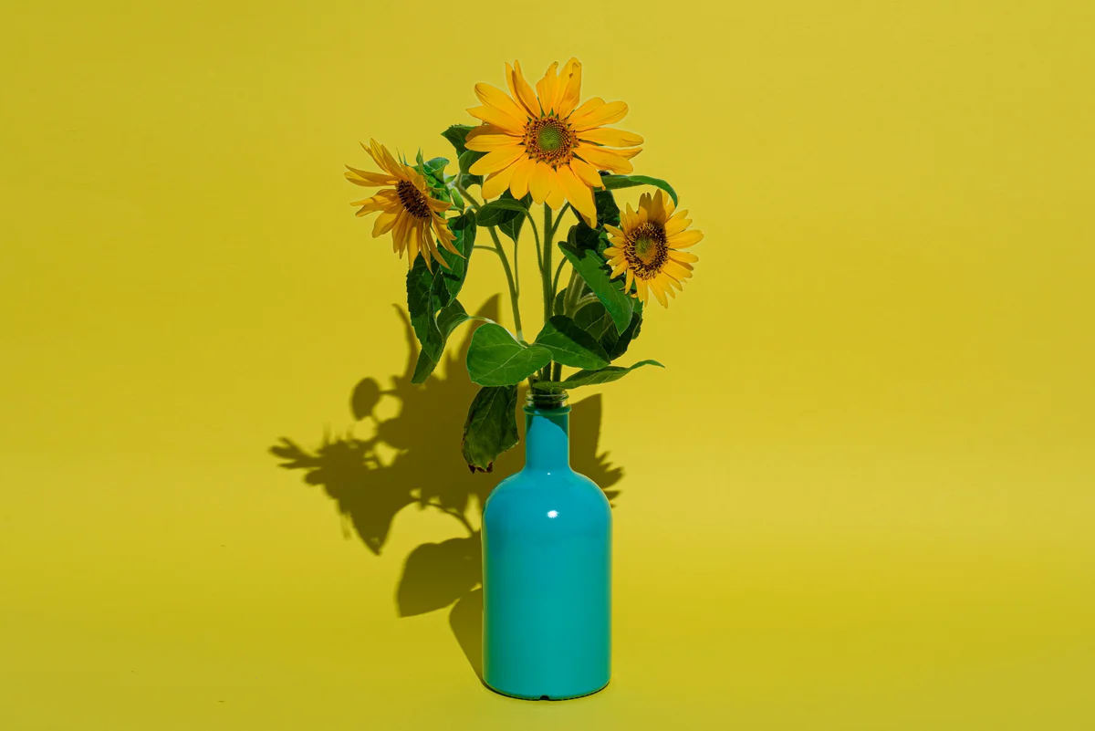 sunflower bouquet