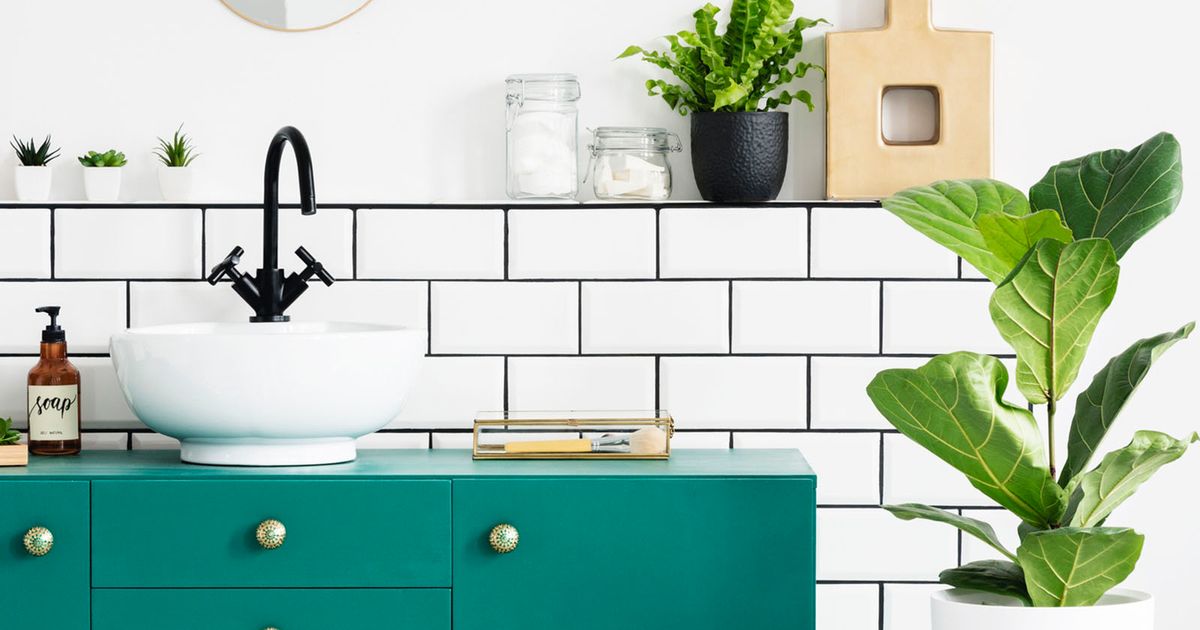 8 Best Bathroom Plants to Give Your Washroom a Spa Vibe