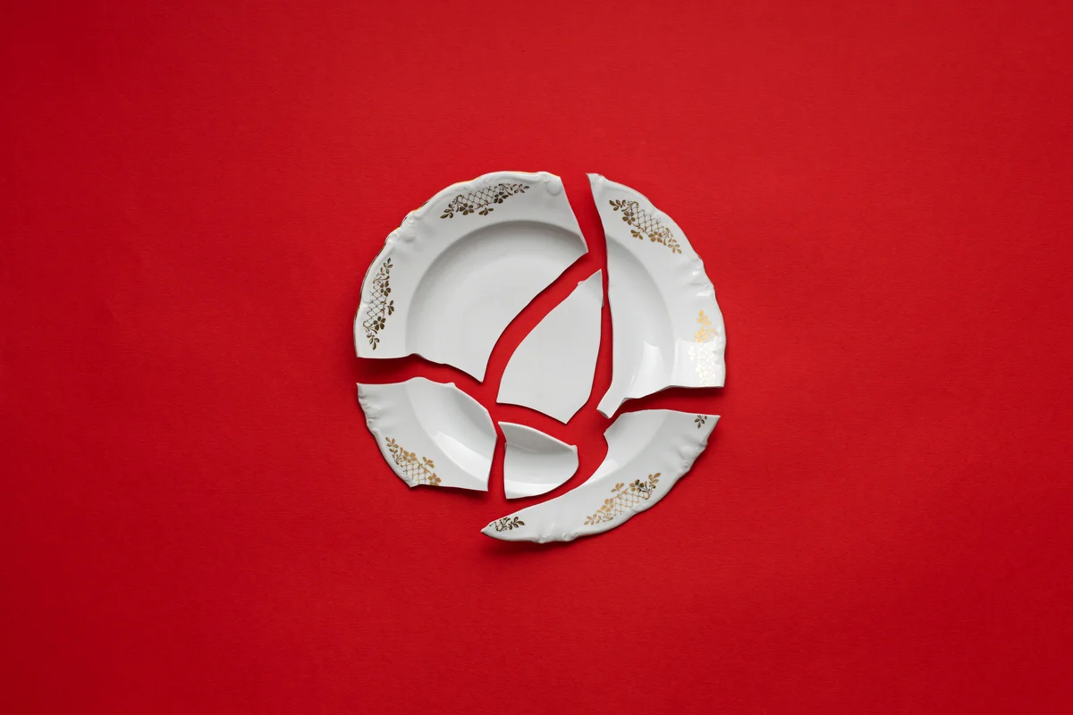 broken plante