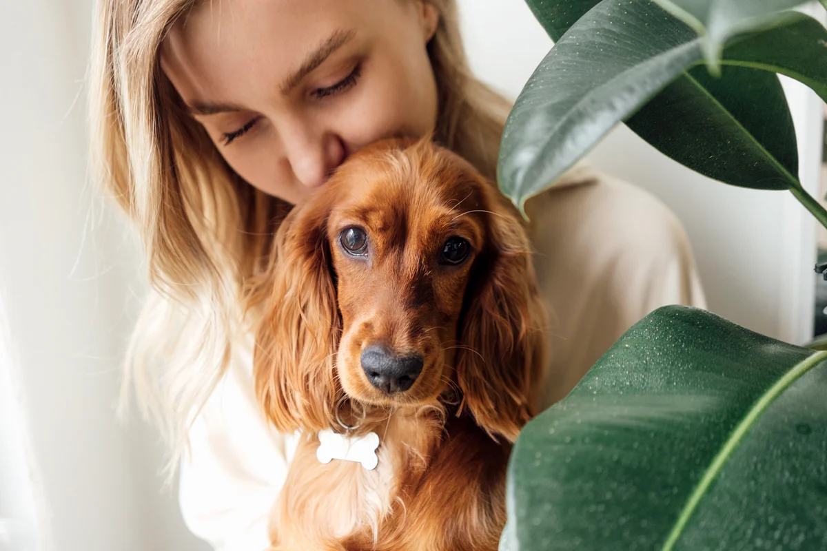 Woman kissing Cocker Spaniel dog at home