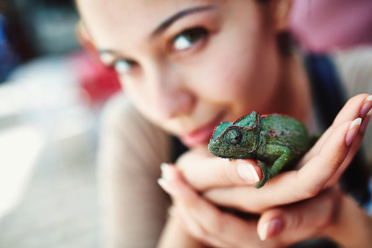 Woman looking at camera holding a cute chameleon