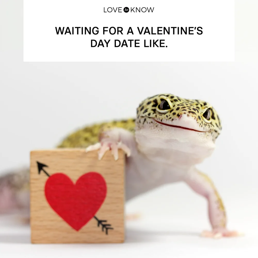 Waiting for a Valentine’s Day date like.