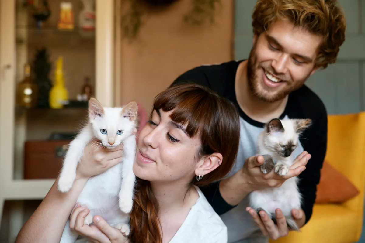 Young couple with kittens at home