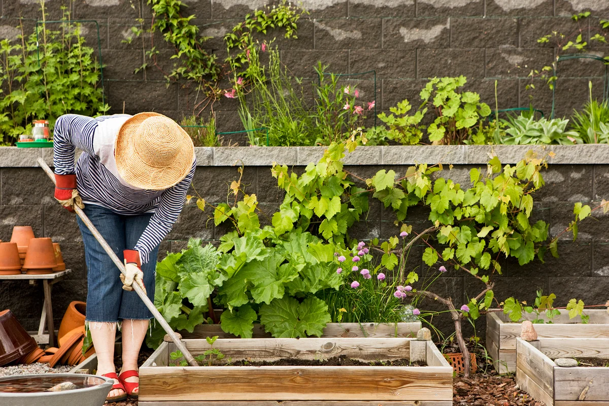 woman gardening