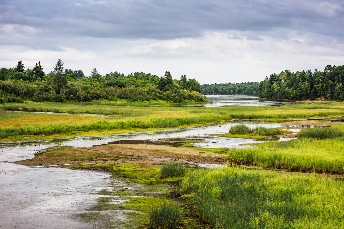Kouchibouguac National Park wetland