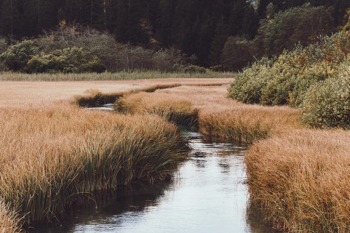 Moody tones photo of stream through grassland in autumn