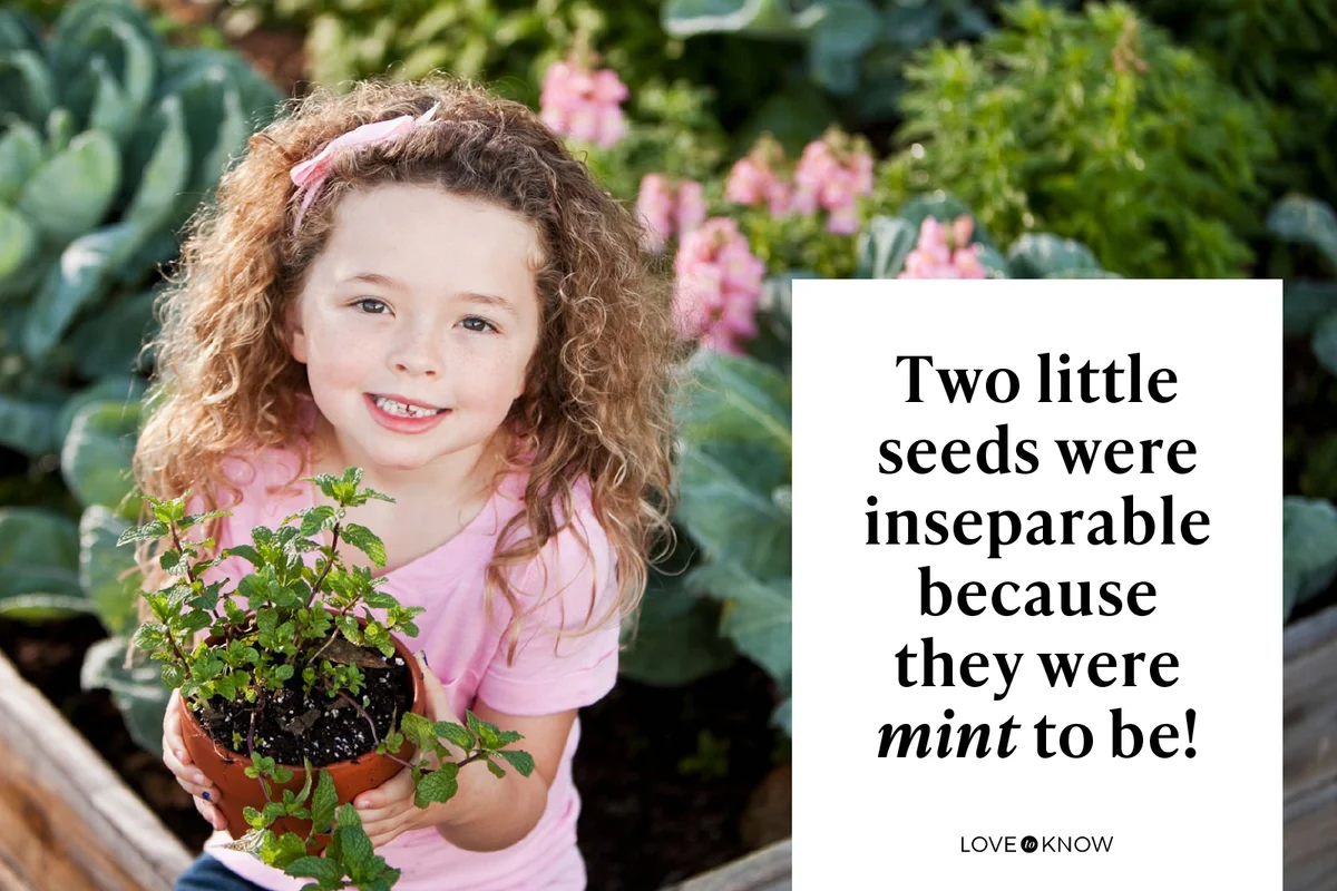 Two little seeds were inseparable because they were mint to be!