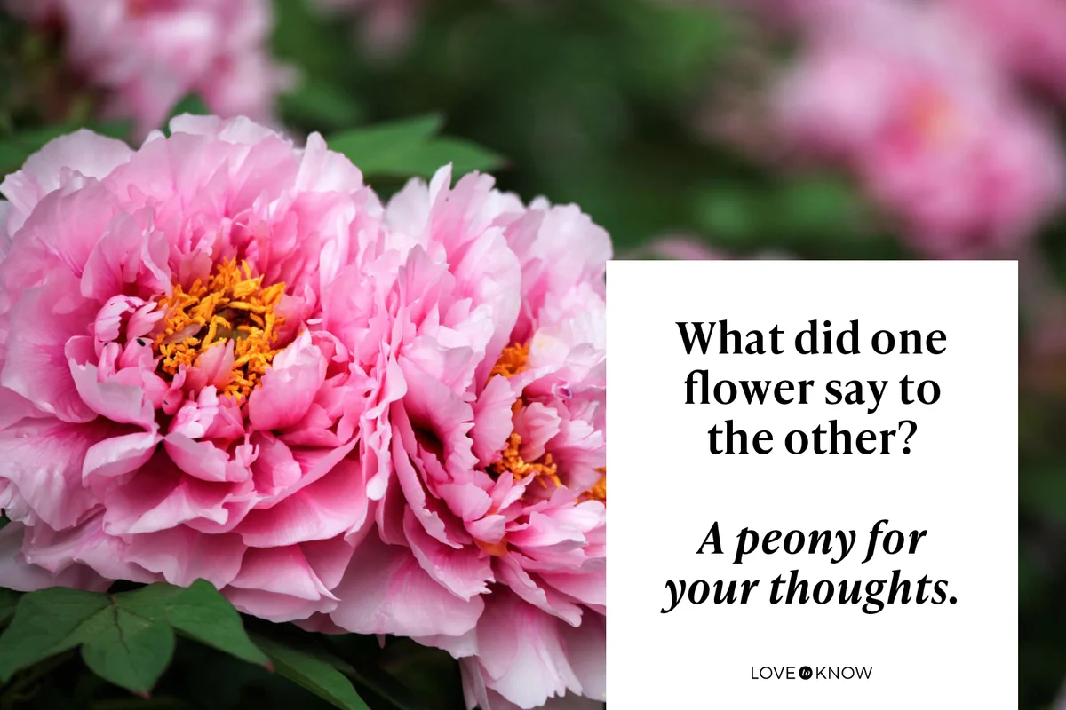 What did one flower say to the other?
A peony for your thoughts.