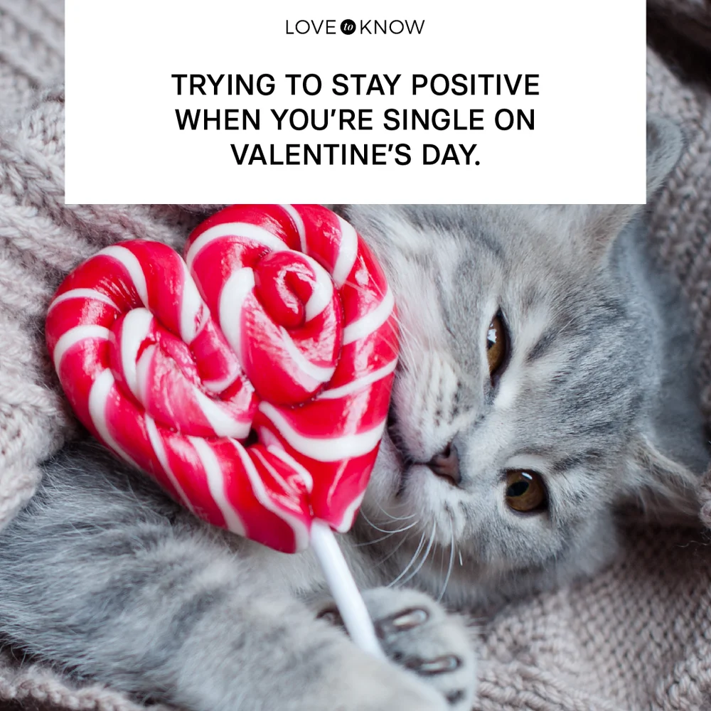 Cat with a lollipop