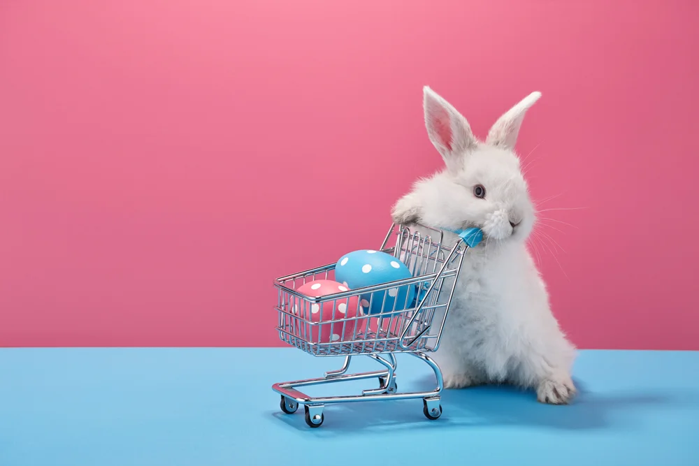 bunny with shopping cart
