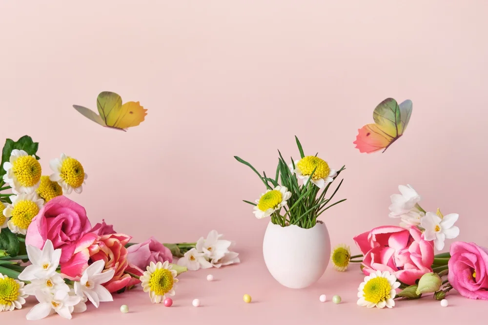 flowers and butterflies