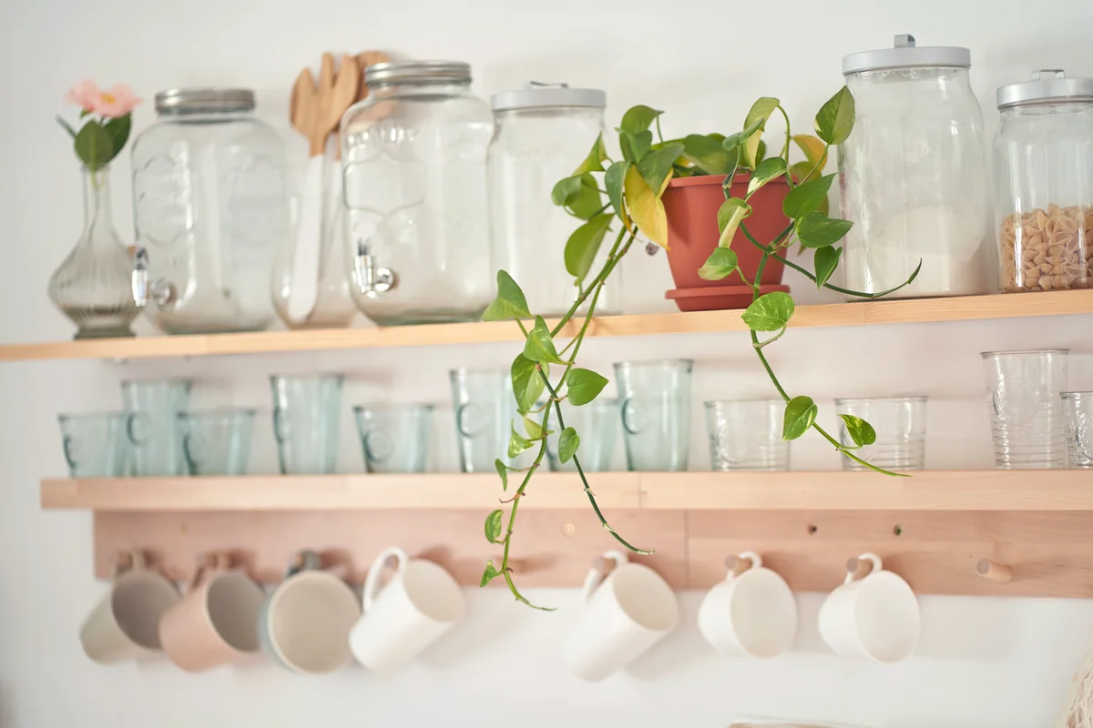 Storage in kitchen shelf
