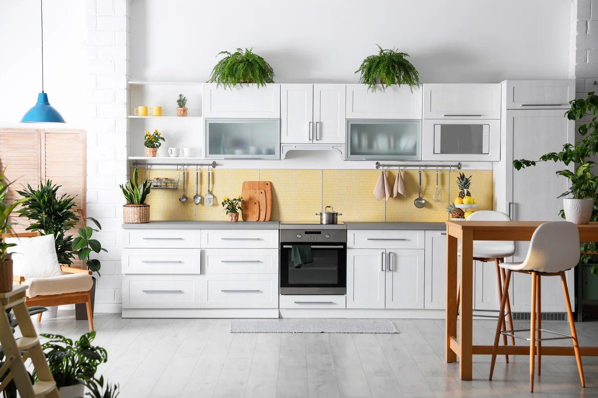 Stylish kitchen interior with green plants