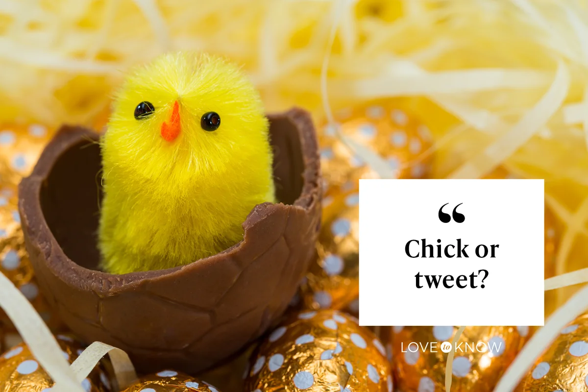 Easter Chick sitting on Easter egg