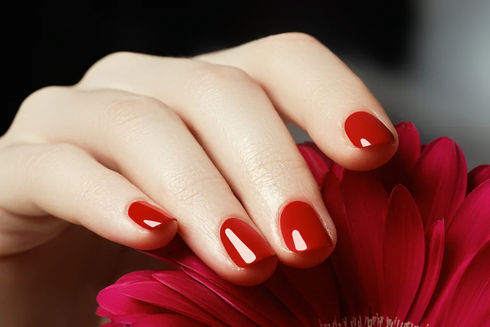 Close up of a hand showing beautiful red nails resting over a red flower