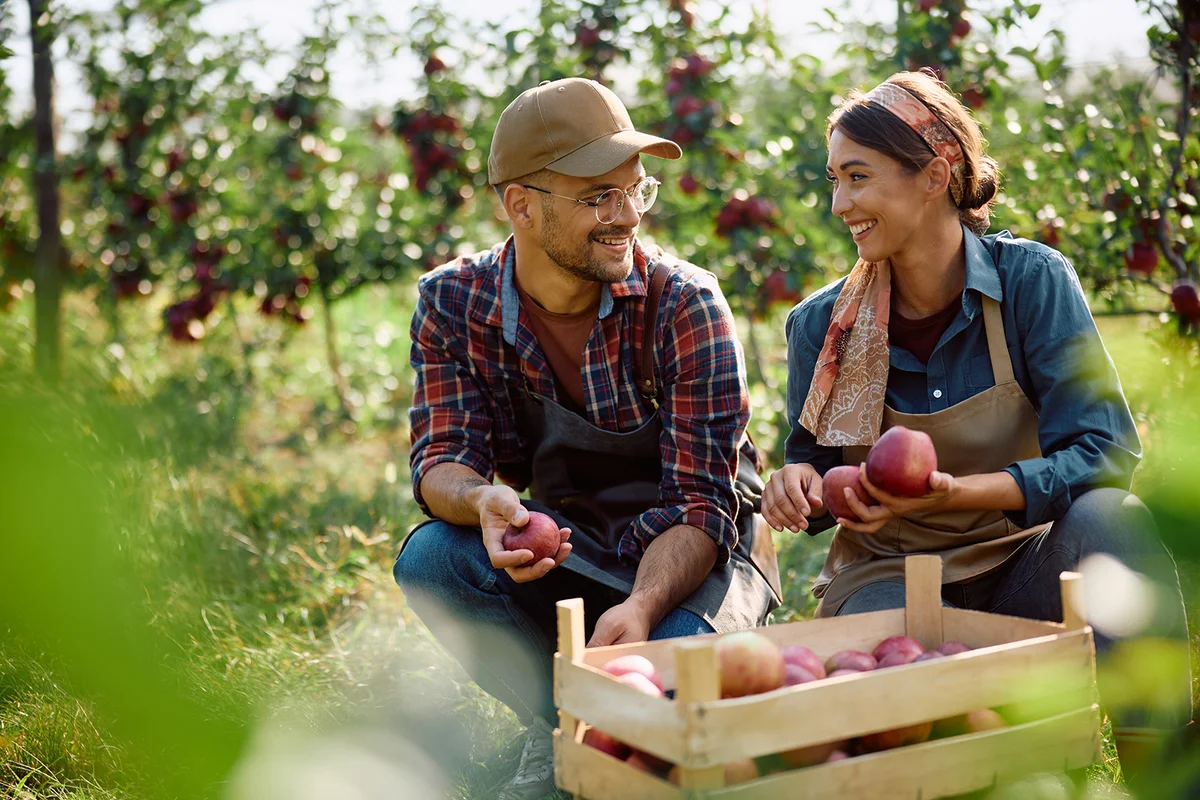 Couple in orchard