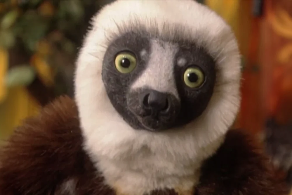 Zoboomafoo puppet