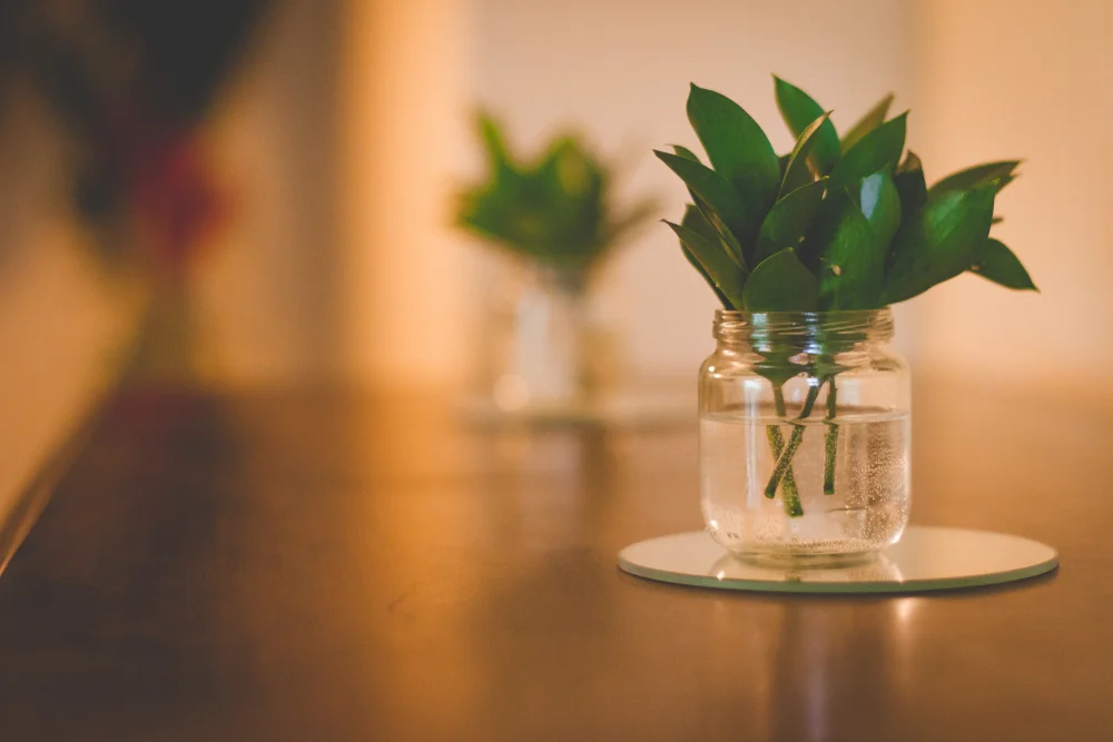 Wild leaves in glass jar on wooden table with a dark background