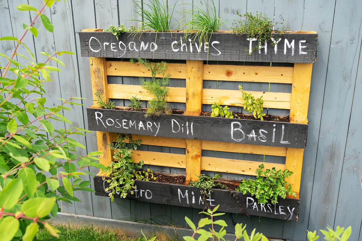 Creative wood herb planter made of wooden pallets