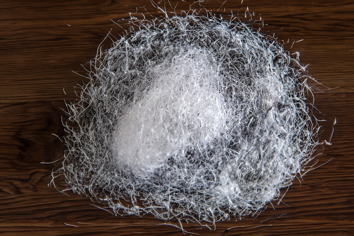 white woolied hairy dust ball