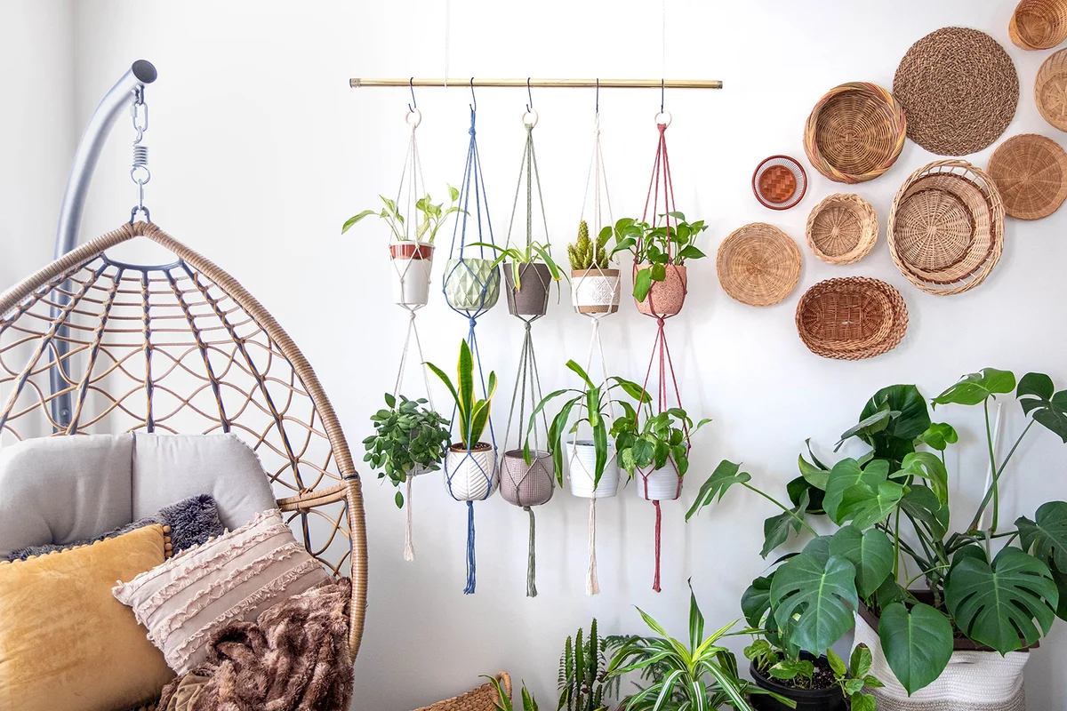 Multiple macrame plant hangers with indoor houseplants