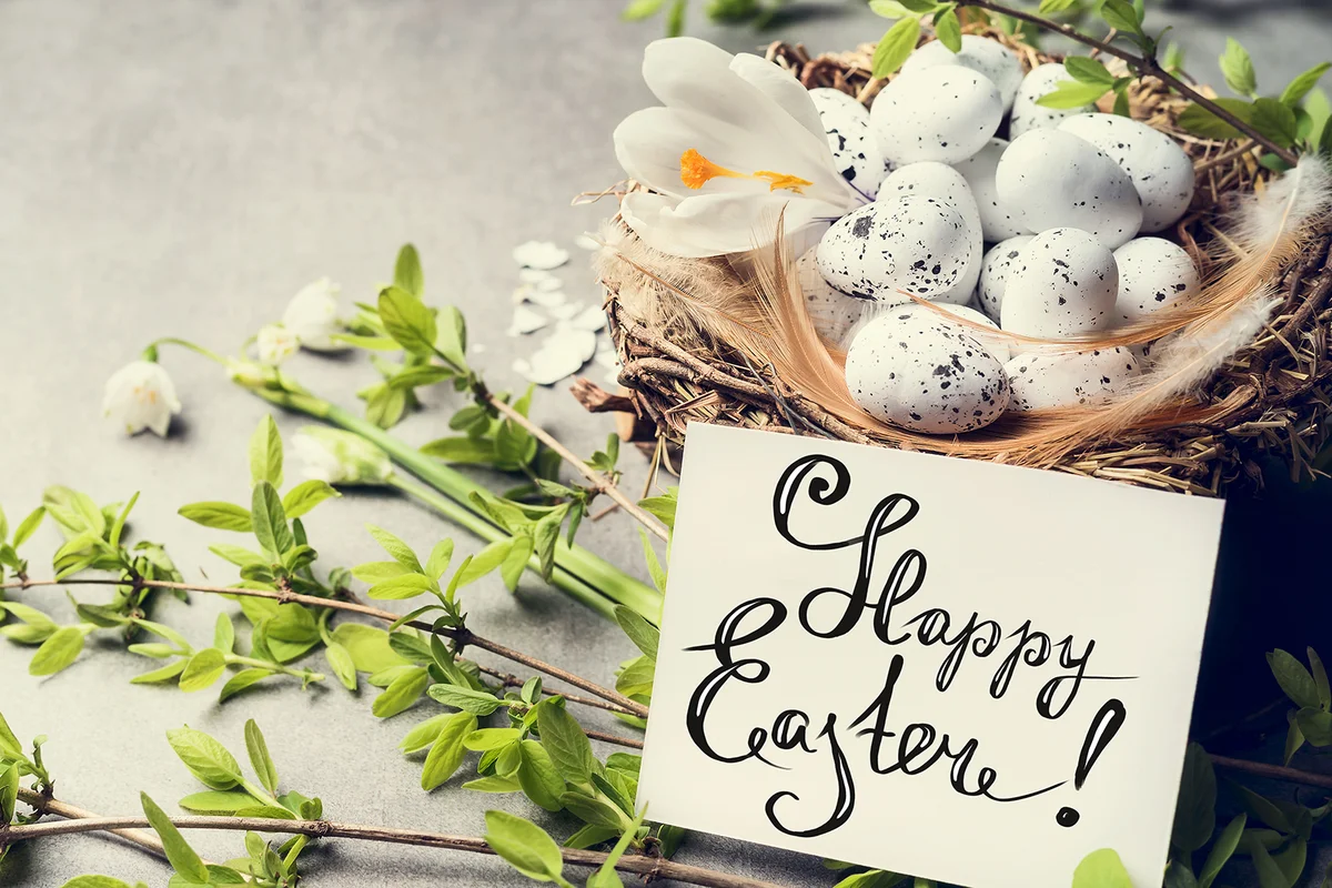 Happy Easter greeting card with bird nest and eggs