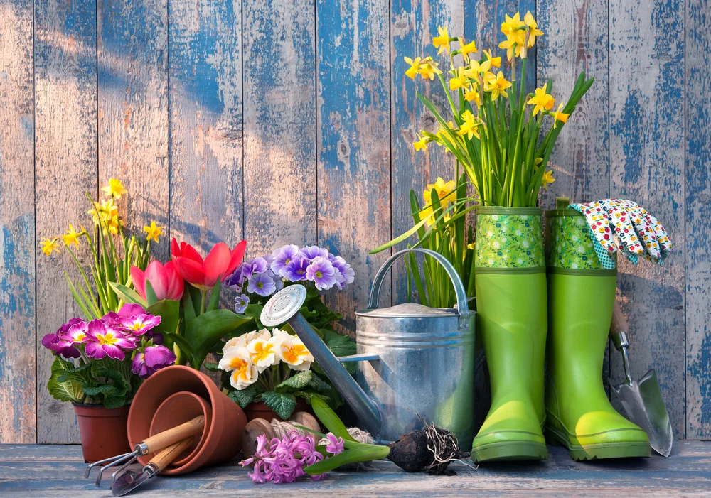 spring blooms